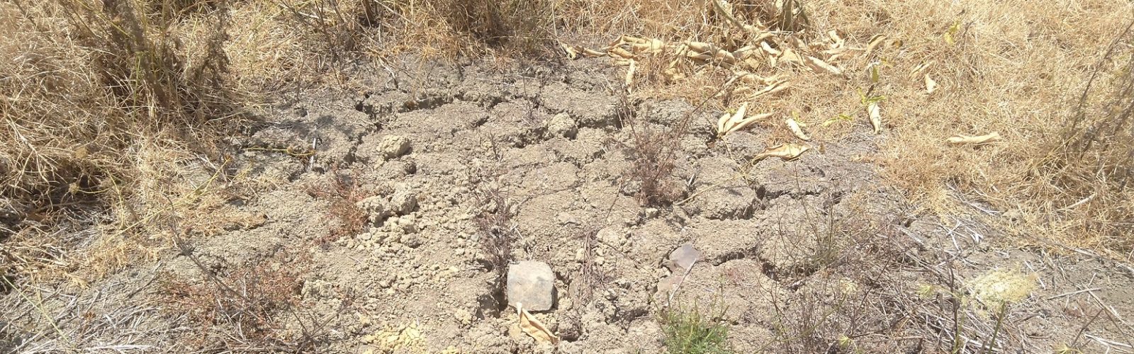 Soil shrinkage becoming a focus - Header Image